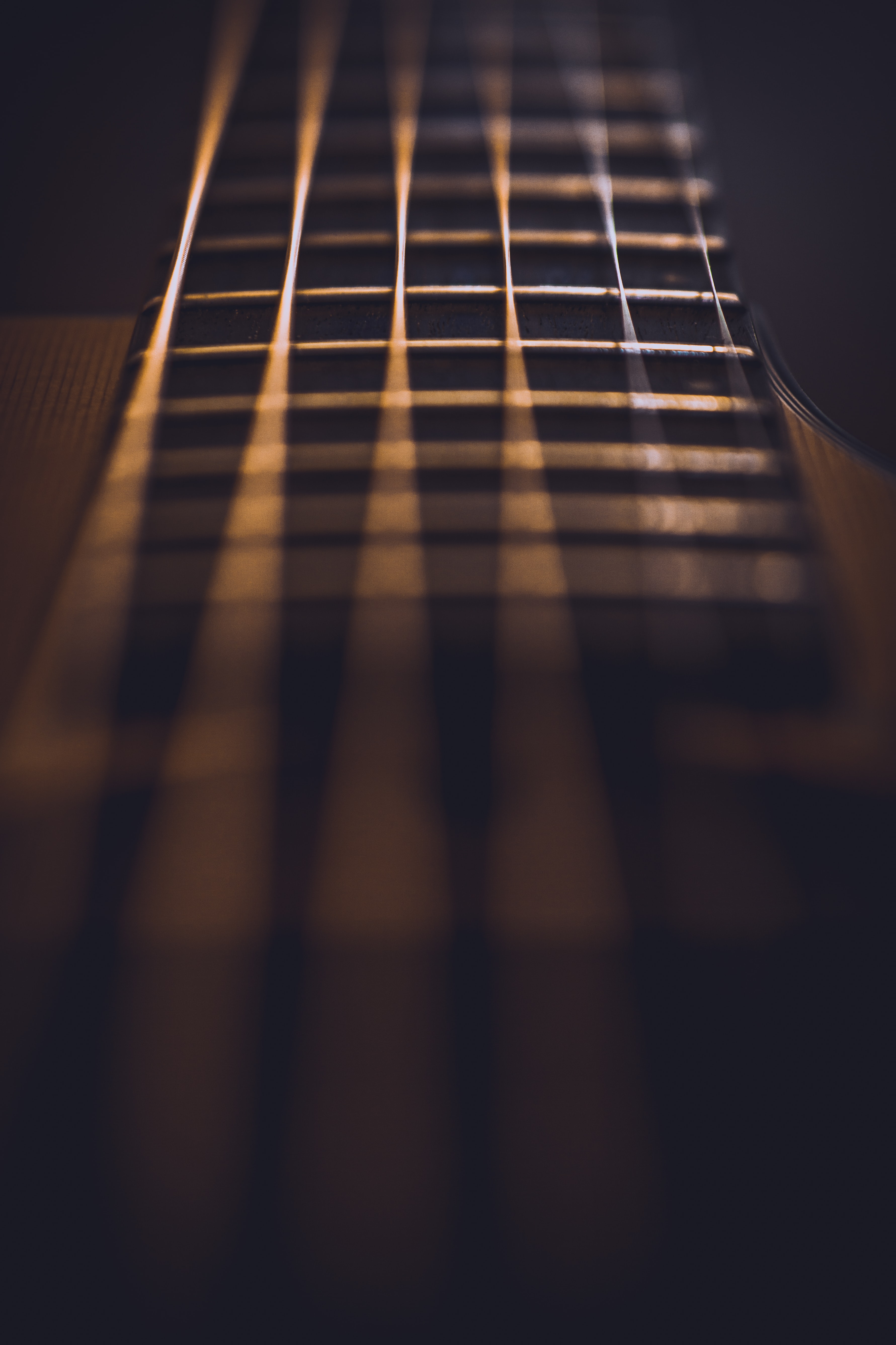 Guitar Fretboard